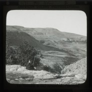 Böhl glass slide 59./1356